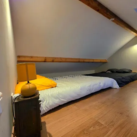 Le Duplex - - Climatise Διαμέρισμα Lons