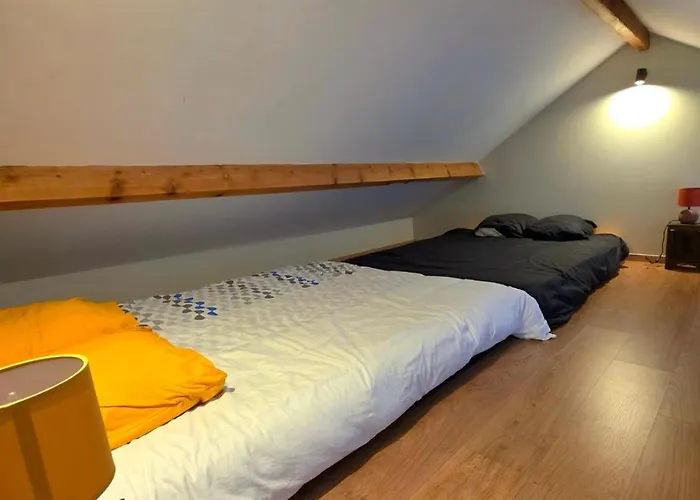 Le Duplex - - Climatise * Lons